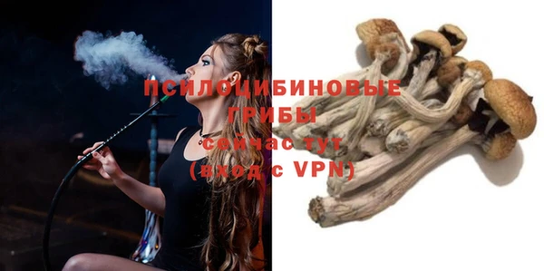 прущая мука Гусев