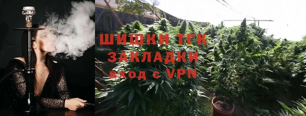 прущая мука Гусев